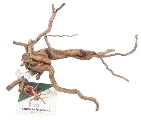 Spiderwood  Wholesale & Distribution